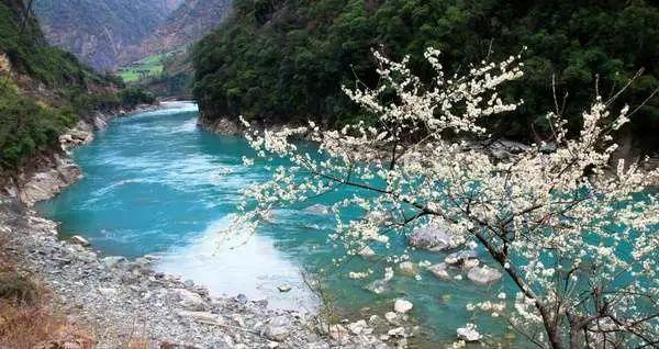 清凉夏日冰淇淋