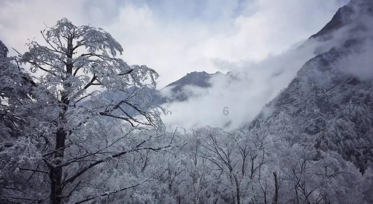 坑爹密室逃脱