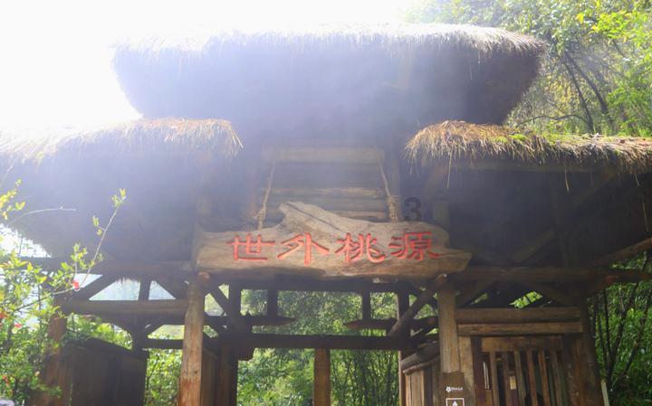 救援蝙蝠