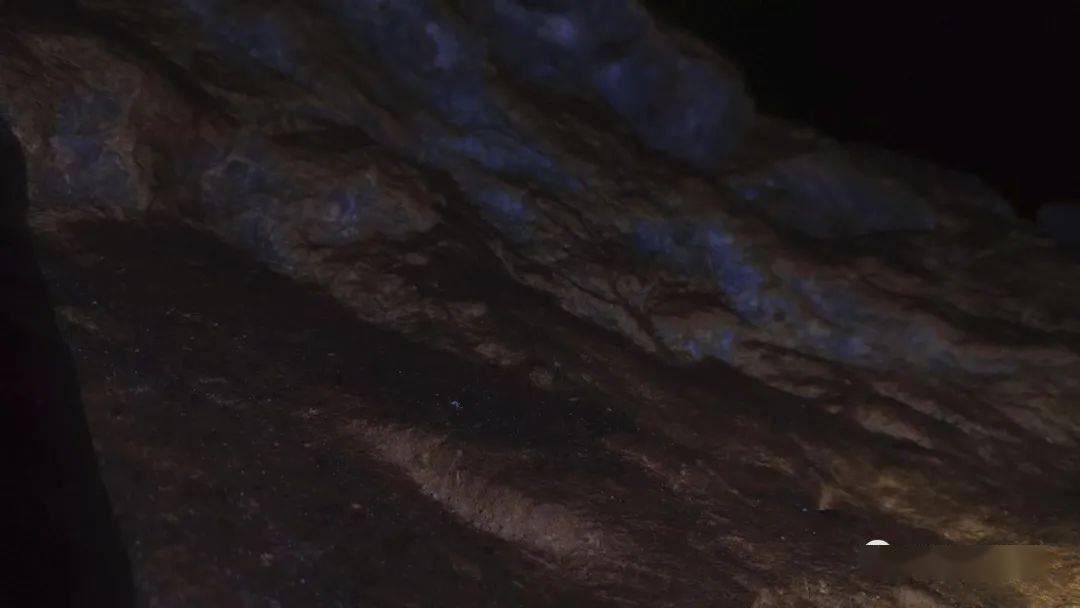 猎魂觉醒