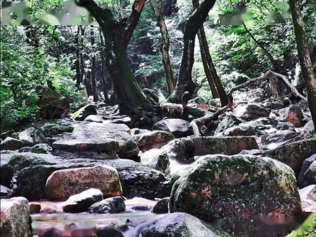 算24点游戏